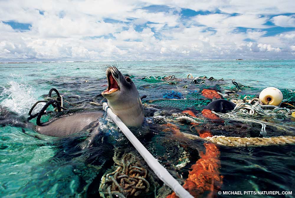 Tổng cục Biển và Hải đảo Việt Nam làm đầu mối về quản lý rác thải nhựa đại dương